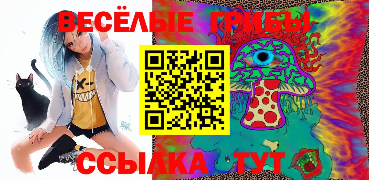 Галлюциногенные грибы Psilocybe Россия