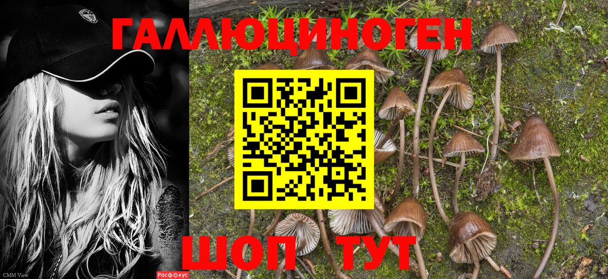 Россия  Псилоцибиновые грибы MAGIC MUSHROOMS  Вход с VPN  Галлюциногенные грибы ЛСД 